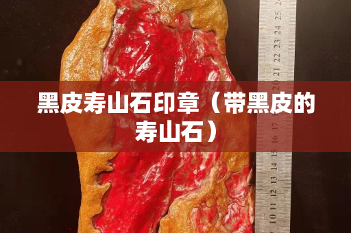 黑皮壽山石印章（帶黑皮的壽山石）