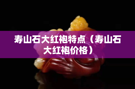 壽山石大紅袍特點（壽山石大紅袍價格）