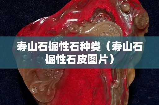 壽山石掘性石種類（壽山石掘性石皮圖片）