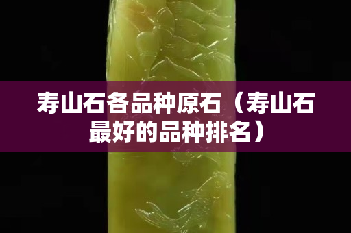 壽山石各品種原石（壽山石最好的品種排名）