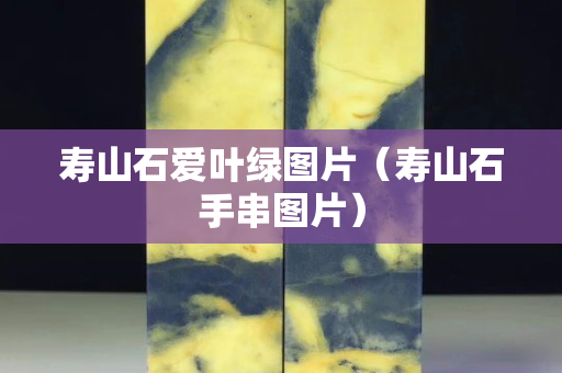 壽山石愛葉綠圖片（壽山石手串圖片）