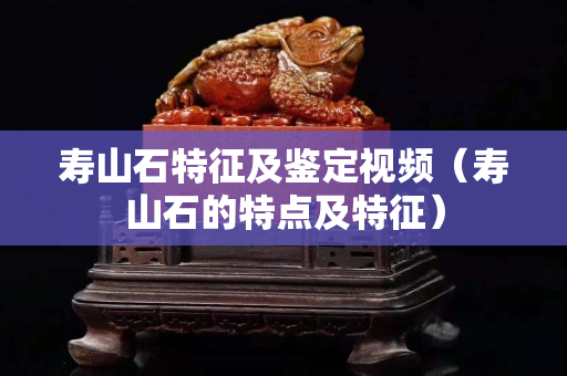 壽山石特征及鑒定視頻（壽山石的特點(diǎn)及特征）