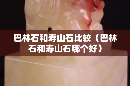巴林石和壽山石比較（巴林石和壽山石哪個好）