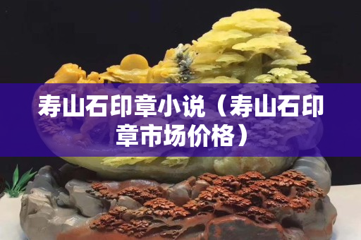 壽山石印章小說（壽山石印章市場價格）