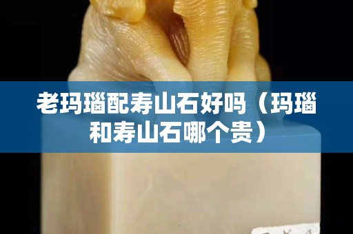 老瑪瑙配壽山石好嗎（瑪瑙和壽山石哪個貴）