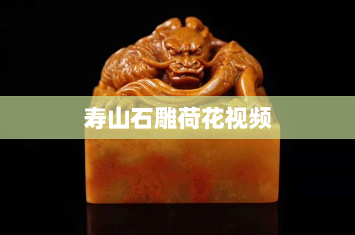 壽山石雕荷花視頻