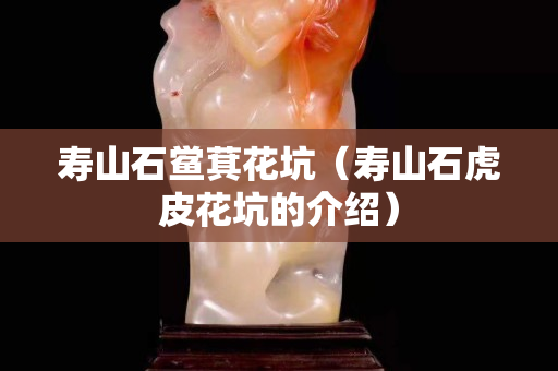 壽山石鱟萁花坑（壽山石虎皮花坑的介紹）