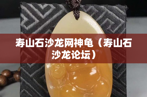 壽山石沙龍網神龜（壽山石沙龍論壇）