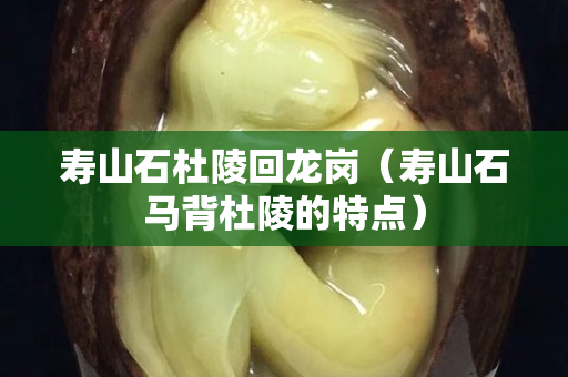 壽山石杜陵回龍崗（壽山石馬背杜陵的特點）