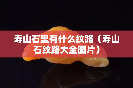 壽山石里有什么紋路（壽山石紋路大全圖片）