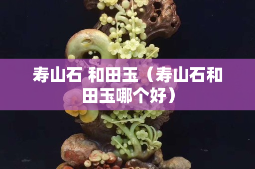 壽山石 和田玉（壽山石和田玉哪個(gè)好）