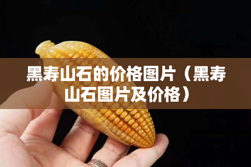 黑壽山石的價格圖片（黑壽山石圖片及價格）