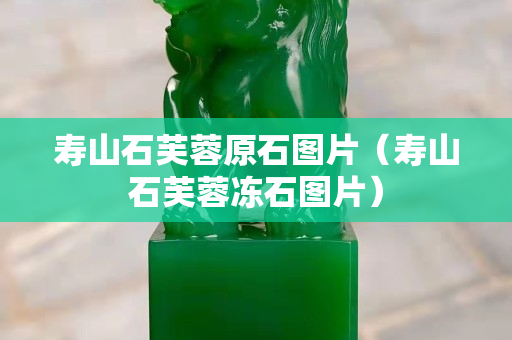 壽山石芙蓉原石圖片（壽山石芙蓉凍石圖片）