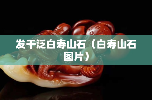 發(fā)干泛白壽山石（白壽山石圖片）