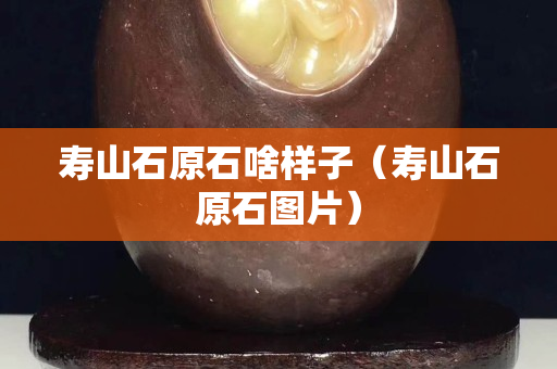 壽山石原石啥樣子（壽山石原石圖片）