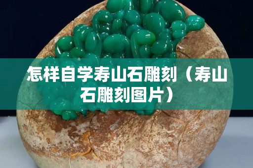 怎樣自學(xué)壽山石雕刻（壽山石雕刻圖片）