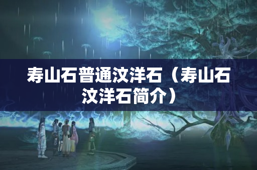 壽山石普通汶洋石（壽山石汶洋石簡介）
