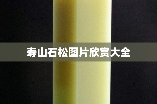 壽山石松圖片欣賞大全