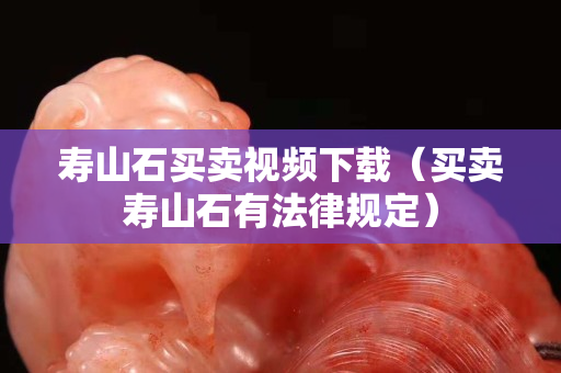 壽山石買(mǎi)賣(mài)視頻下載（買(mǎi)賣(mài)壽山石有法律規(guī)定）