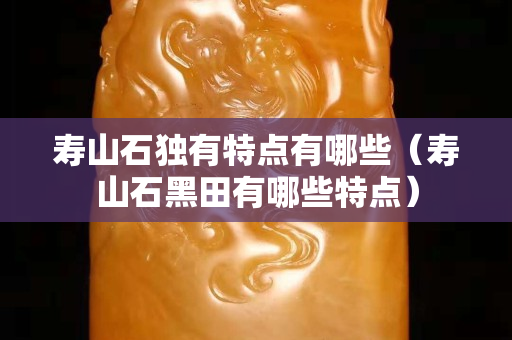 壽山石獨有特點有哪些（壽山石黑田有哪些特點）