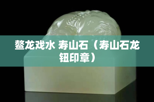 鰲龍戲水 壽山石（壽山石龍鈕印章）