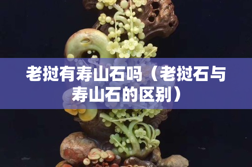 老撾有壽山石嗎（老撾石與壽山石的區別）