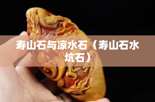 壽山石與涼水石（壽山石水坑石）