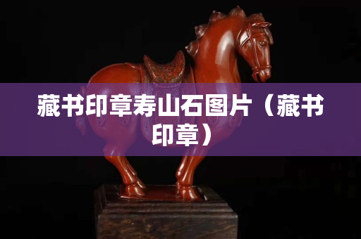 藏書印章壽山石圖片（藏書印章）