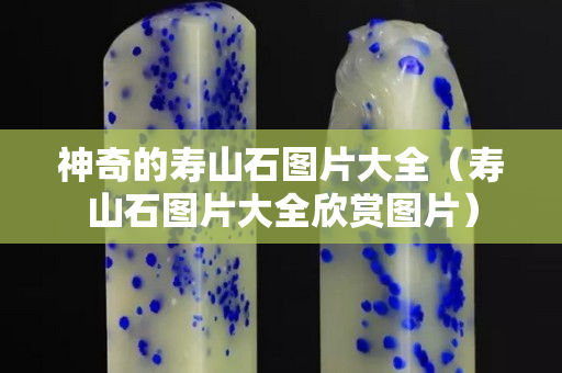 神奇的壽山石圖片大全（壽山石圖片大全欣賞圖片）