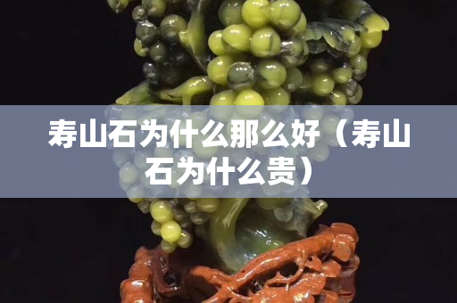 壽山石為什么那么好（壽山石為什么貴）