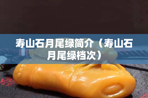 壽山石月尾綠簡(jiǎn)介（壽山石月尾綠檔次）