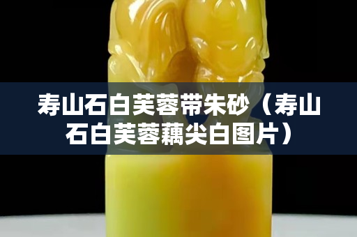 壽山石白芙蓉帶朱砂（壽山石白芙蓉藕尖白圖片）