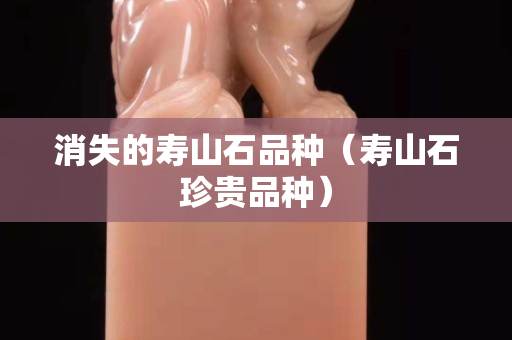 消失的壽山石品種（壽山石珍貴品種）