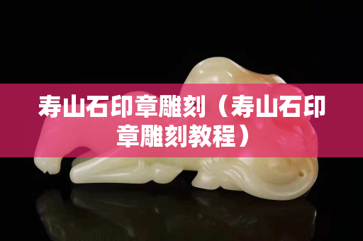 壽山石印章雕刻（壽山石印章雕刻教程）