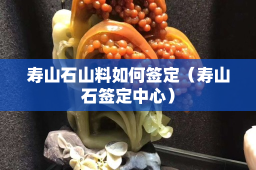 壽山石山料如何簽定（壽山石簽定中心）