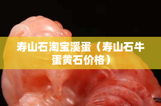 壽山石淘寶溪蛋（壽山石牛蛋黃石價格）