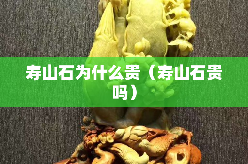 壽山石為什么貴（壽山石貴嗎）