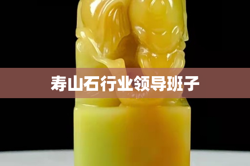 壽山石行業領導班子