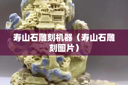 壽山石雕刻機器（壽山石雕刻圖片）