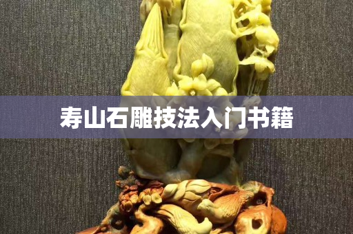 壽山石雕技法入門書籍
