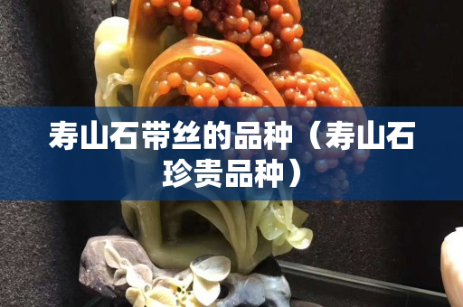 壽山石帶絲的品種（壽山石珍貴品種）