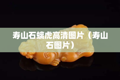 壽山石螭虎高清圖片（壽山石圖片）