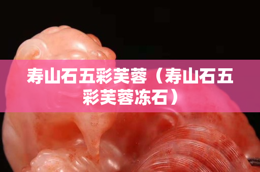 壽山石五彩芙蓉（壽山石五彩芙蓉凍石）