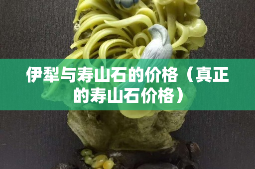 伊犁與壽山石的價格（真正的壽山石價格）