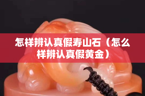 怎樣辨認真假壽山石（怎么樣辨認真假黃金）