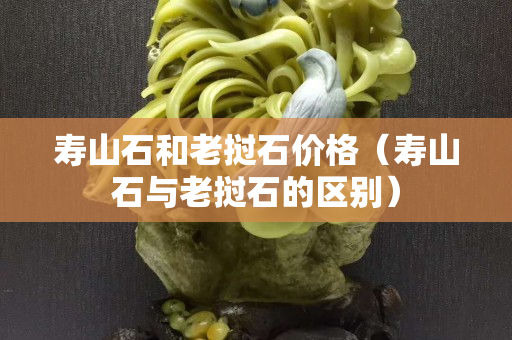 壽山石和老撾石價(jià)格（壽山石與老撾石的區(qū)別）