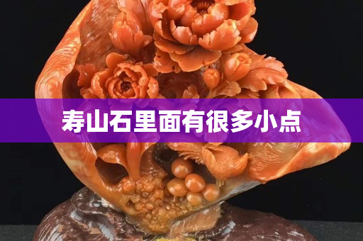 壽山石里面有很多小點