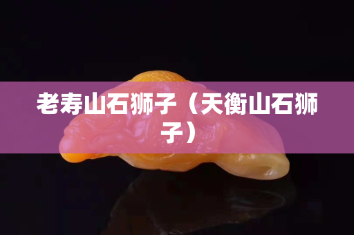 老壽山石獅子（天衡山石獅子）