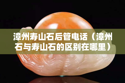 漳州壽山石后管電話（漳州石與壽山石的區別在哪里）