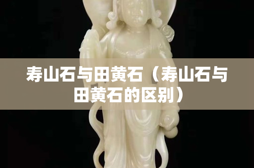 壽山石與田黃石（壽山石與田黃石的區(qū)別）